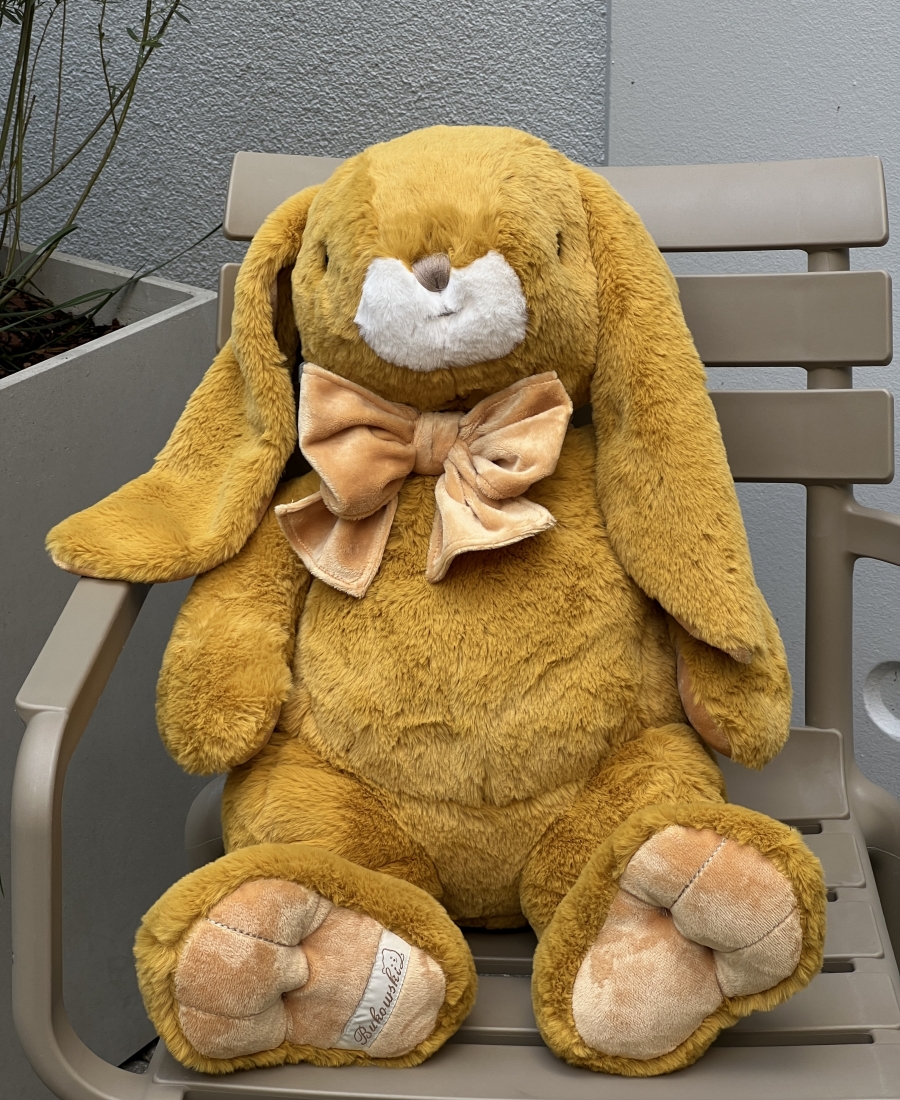 Big Hare Bukowski 65 cm