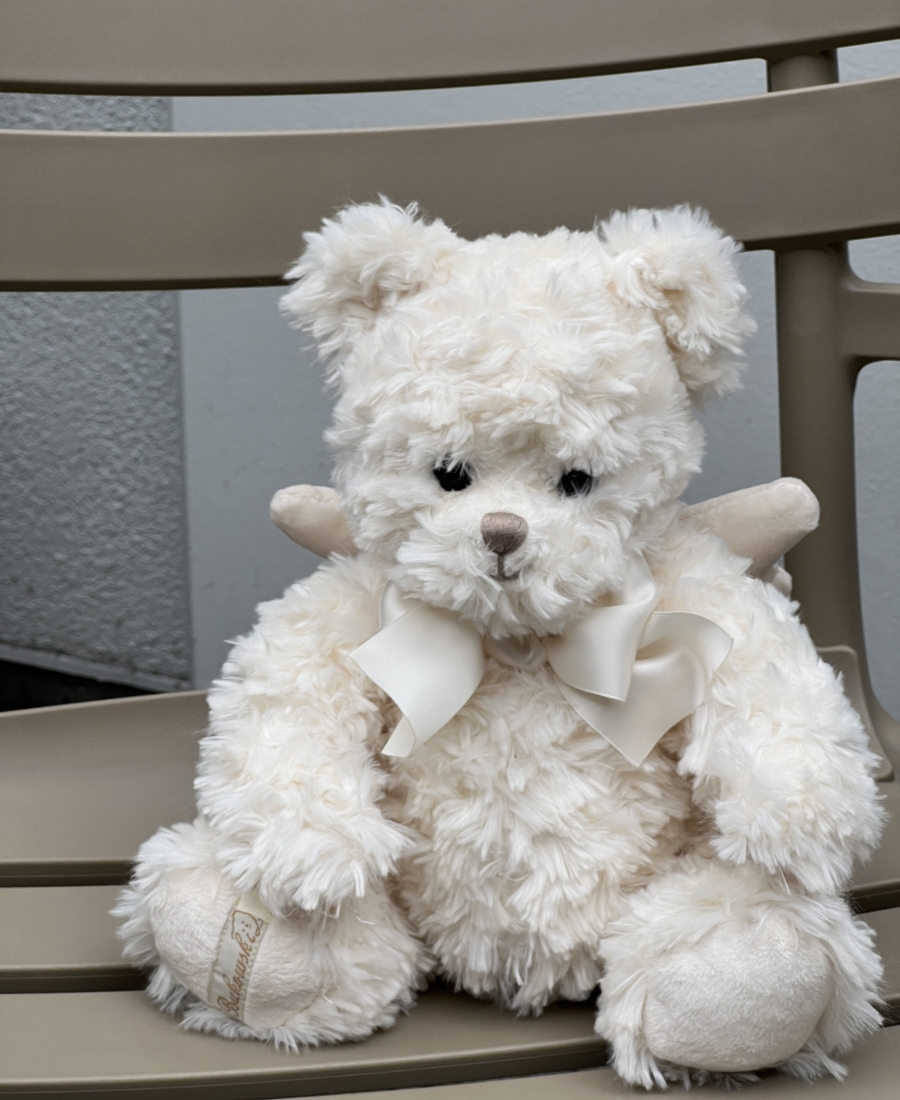 Bear Bukowski 25 cm ( 1 piece )
