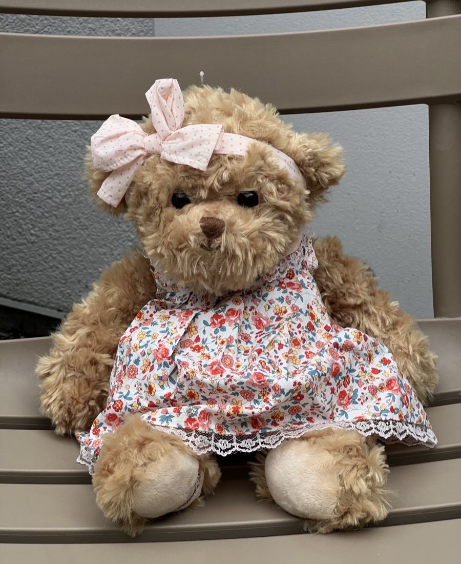 Bear Bukowski 25 cm ( 1 piece )