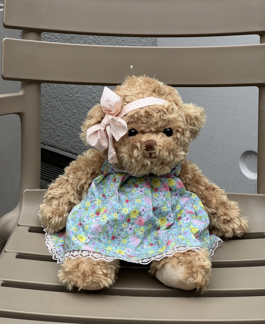 Bear Bukowski 25 cm ( 1 piece )