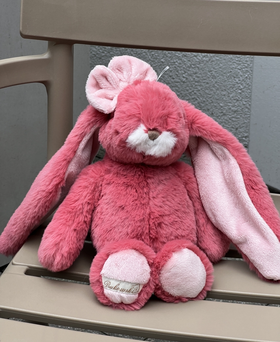 ARCHIE Rabbit Bukowski