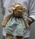 Bear Bukowski 25 cm ( 1 piece )