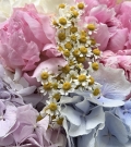 Bouquet “Summer vibes”