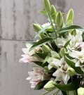 Bunch of Double Lilies
