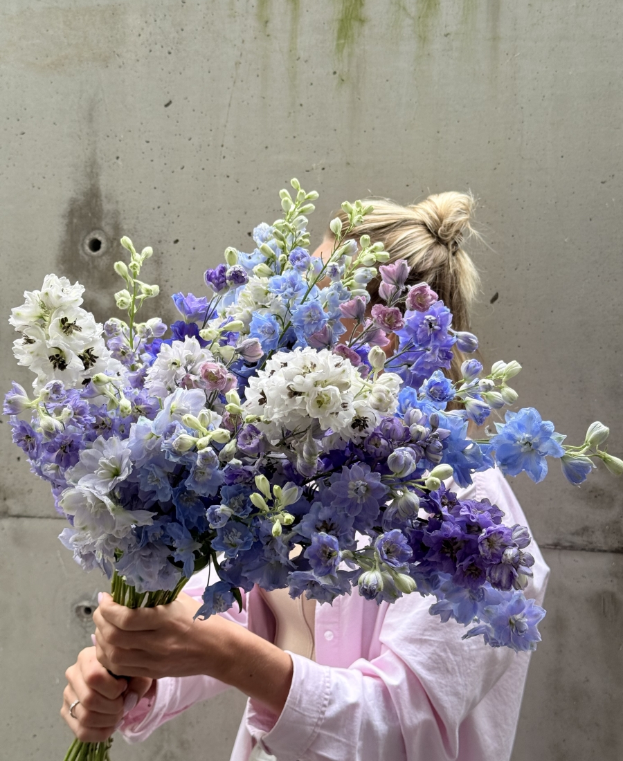 Bunch of delphinium