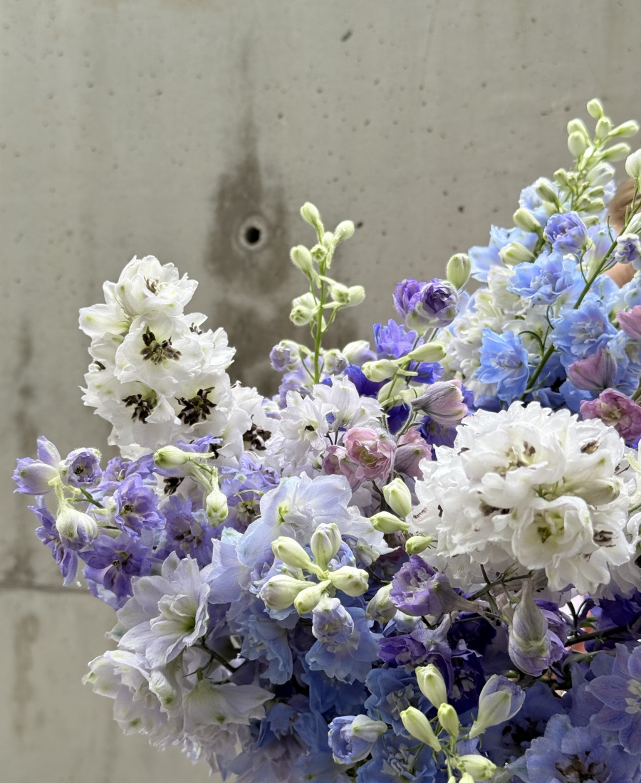 Bunch of delphinium