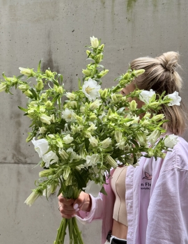 Bunch of campanula