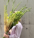 Summer bunch Lemongrass