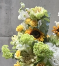 Complimentary basket “Sunny Garden”