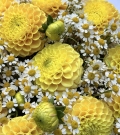 Bouquet - "Sunny morning"