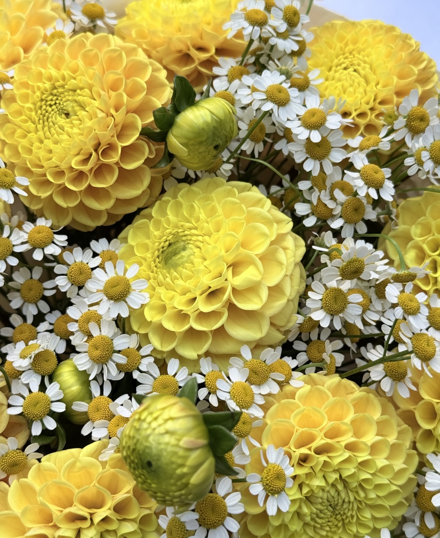 Bouquet - "Sunny morning"