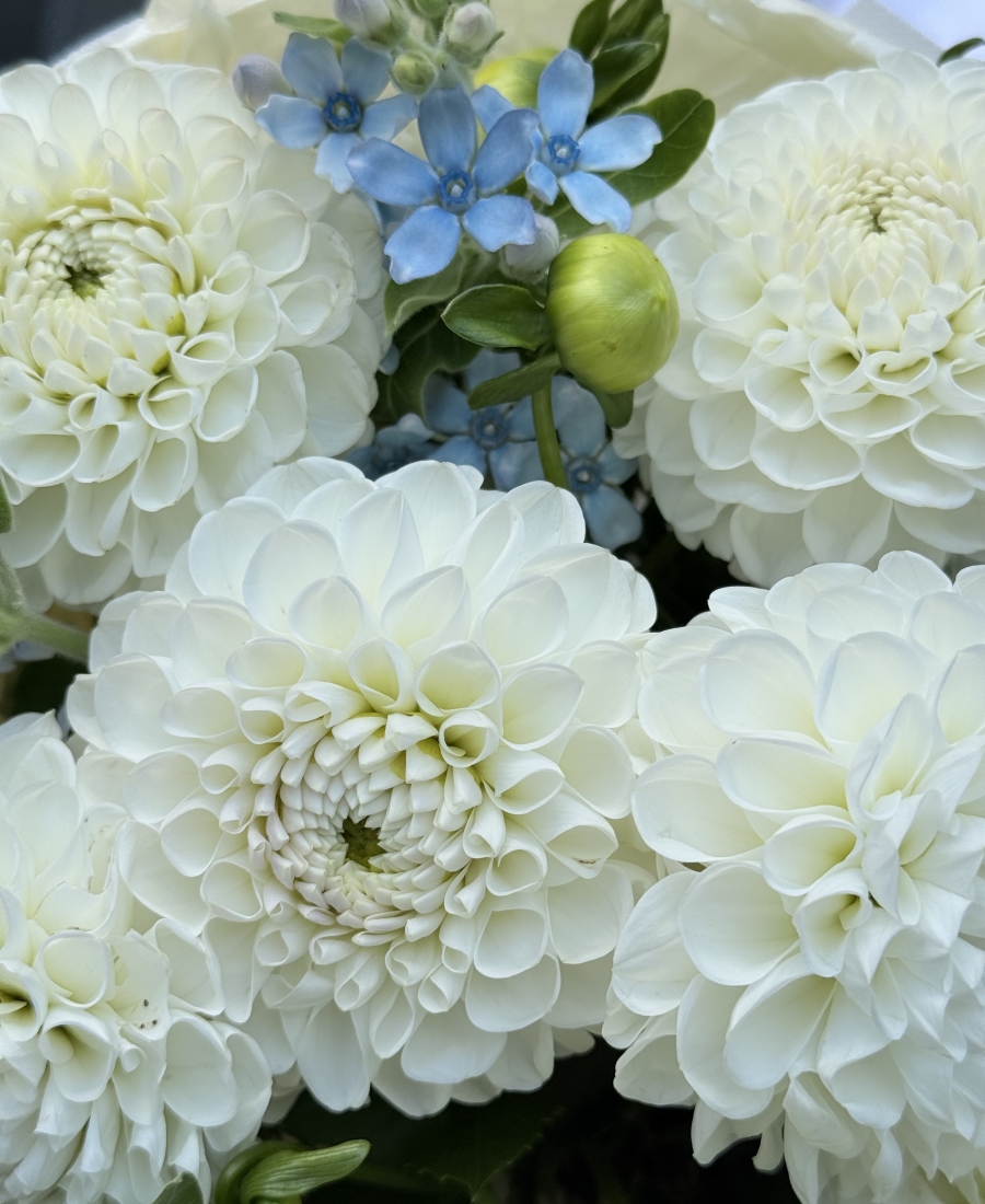Bouquet - "Fresh Morning"