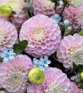 Bouquet - "Rosy Dawn"