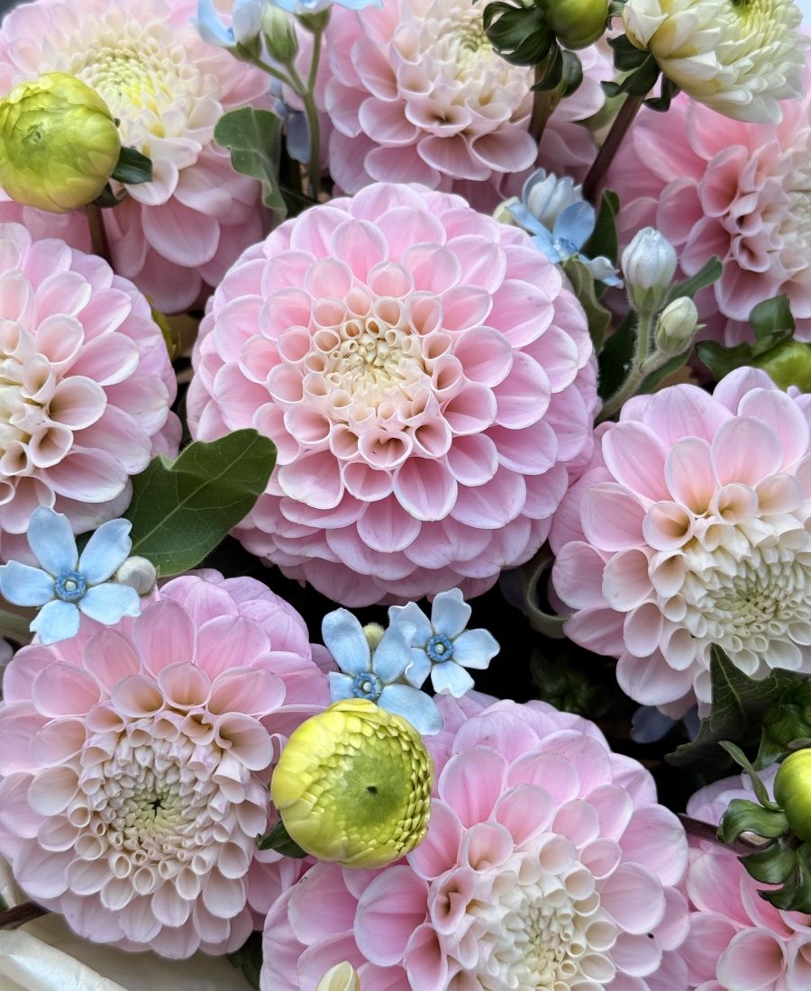 Bouquet - "Rosy Dawn"