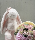 Cudly Canina Misty Rose