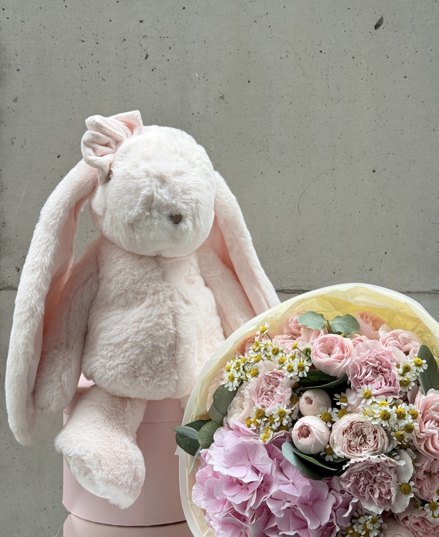 Cudly Canina Misty Rose