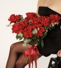 French roses - "Freedom"