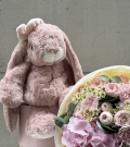 Cudly Canina Antique Rose