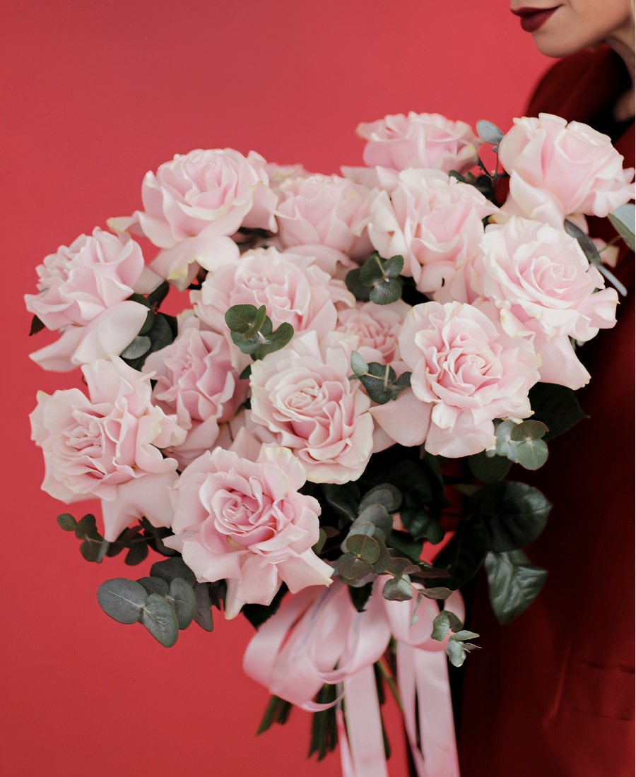 French roses - "Pink Mondial"