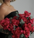 French roses - "Pink Floyd"
