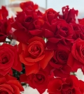 WOW basket with red and scarlet red roses