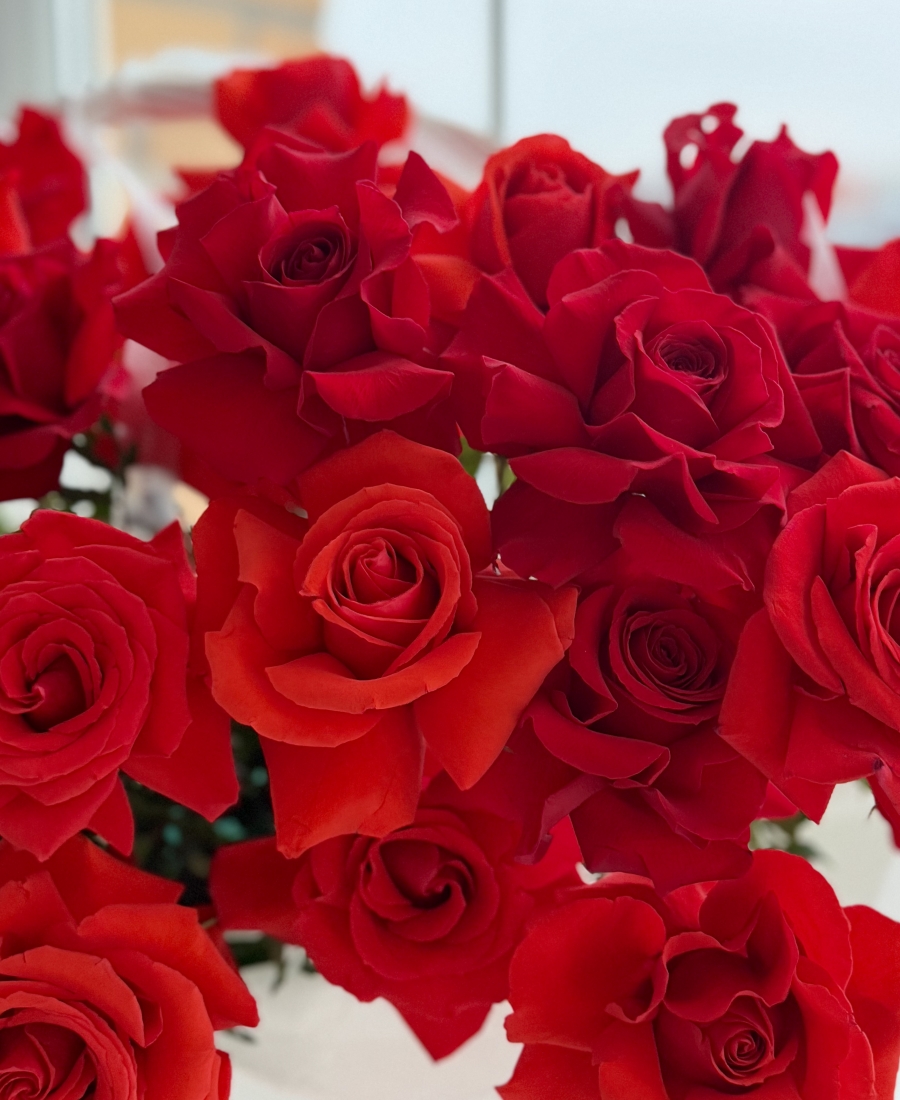 WOW basket with red and scarlet red roses