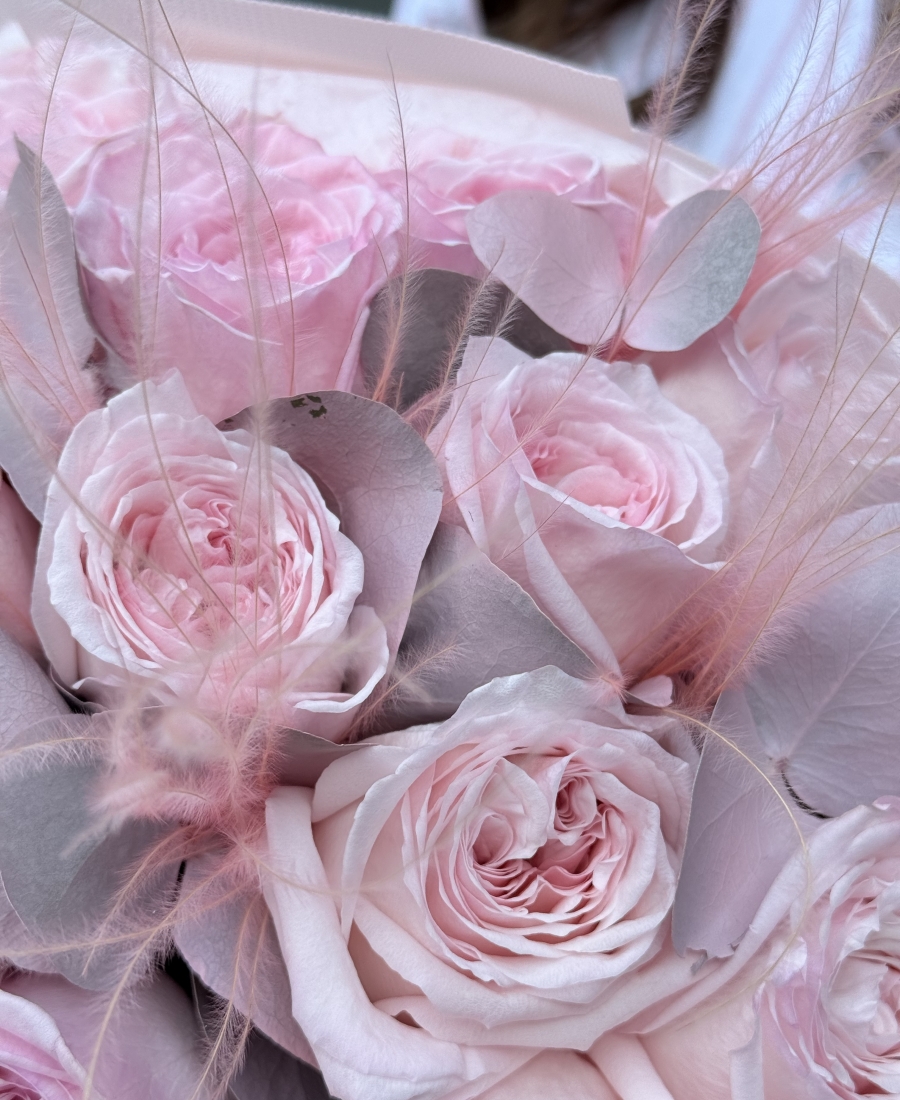 Aromatic Pink O’hara