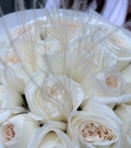 Aromatic White O’hara
