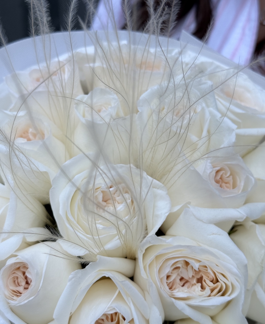Aromatic White O’hara