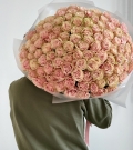 101 Rose Pink Mondial