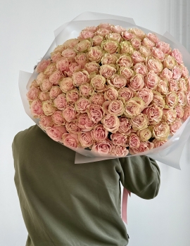 101 Rose Pink Mondial