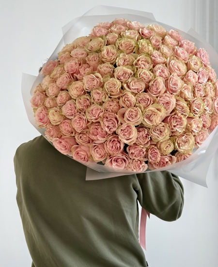 101 Rose Pink Mondial