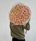 101 Rose Pink Mondial