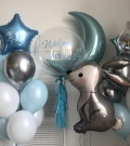 Blue Bunny Set