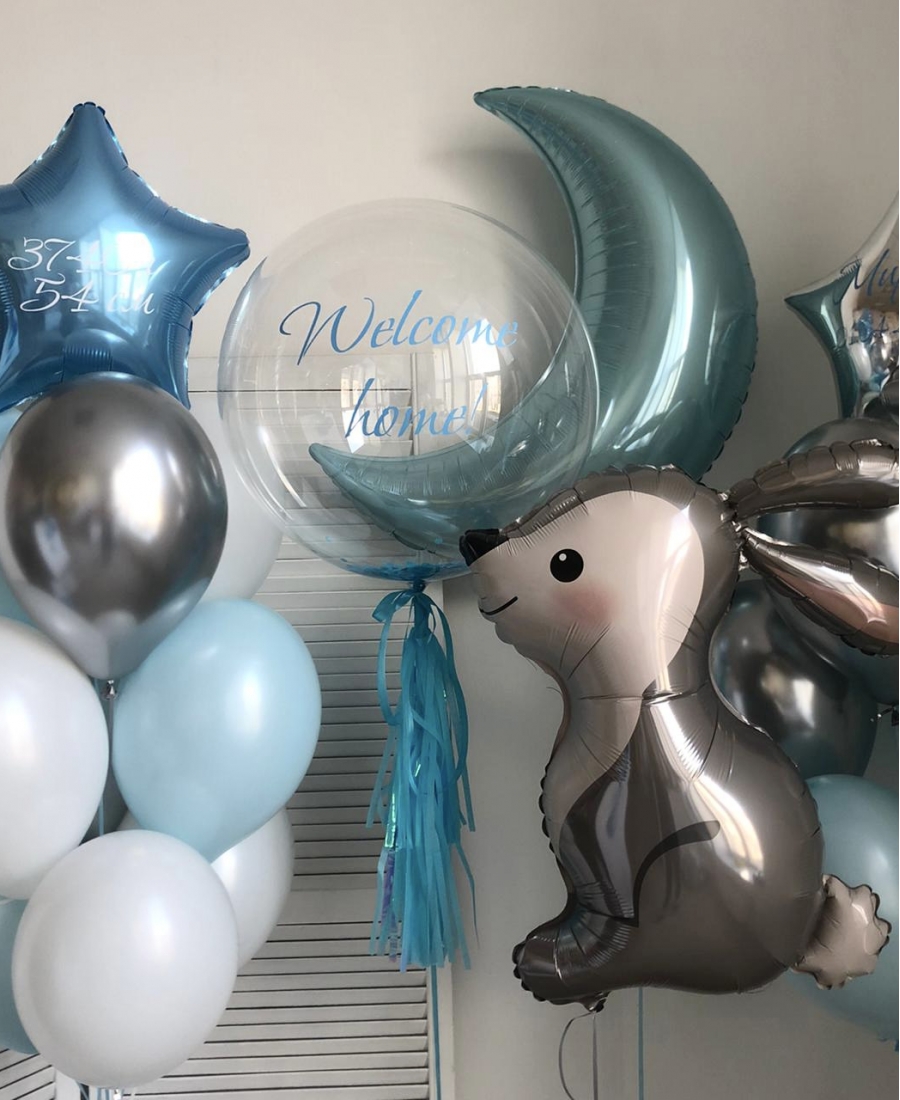 Blue Bunny Set