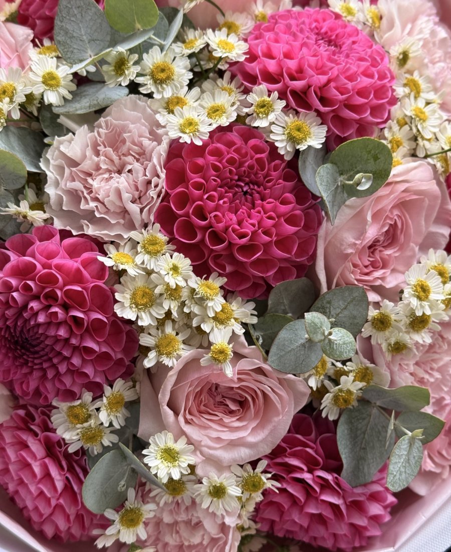 Dahlia Crush