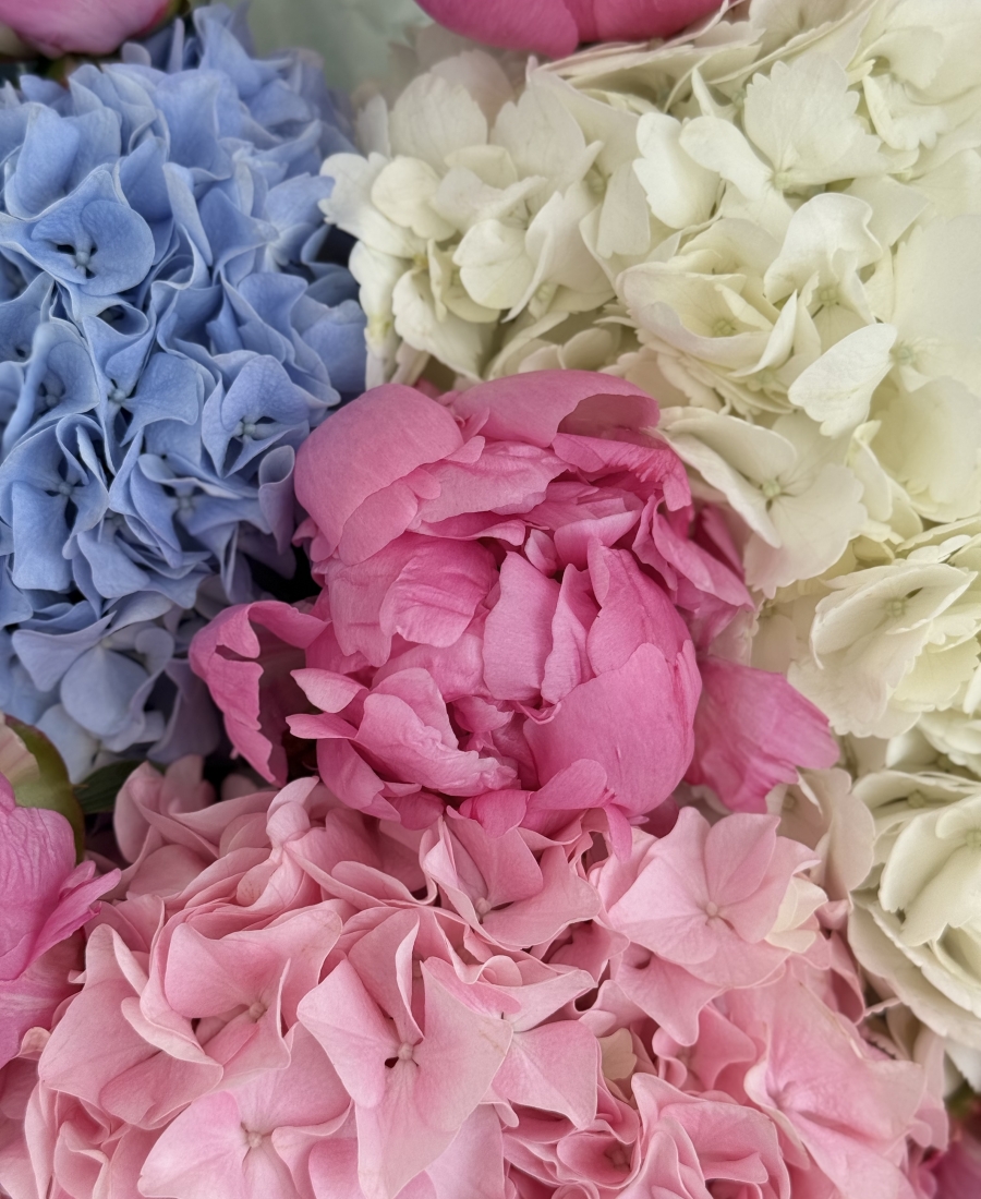 “Pastel Mood”