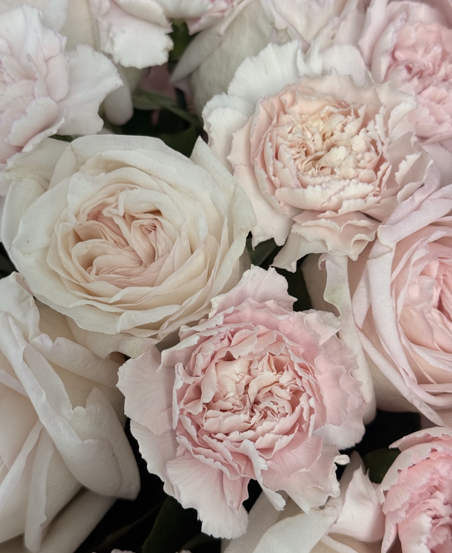 “Nude Roses”