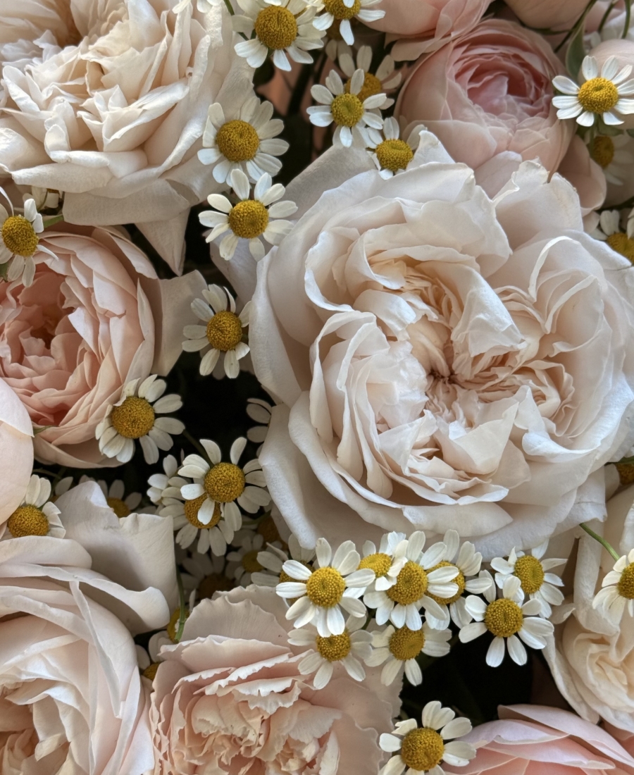 “Peachy July”