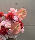 Box with anthurium “Bold love”