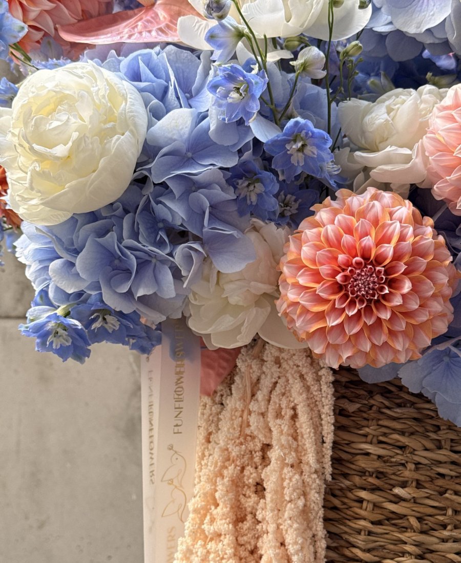 Sezonas WOW grozs “Coral Sunset”
