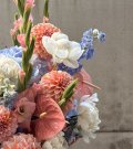 Sezonas WOW grozs “Coral Sunset”