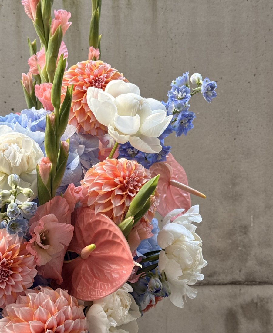 Sezonas WOW grozs “Coral Sunset”