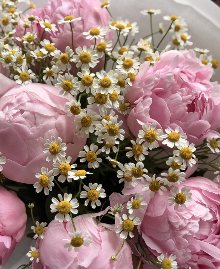 “Daisy Peony”