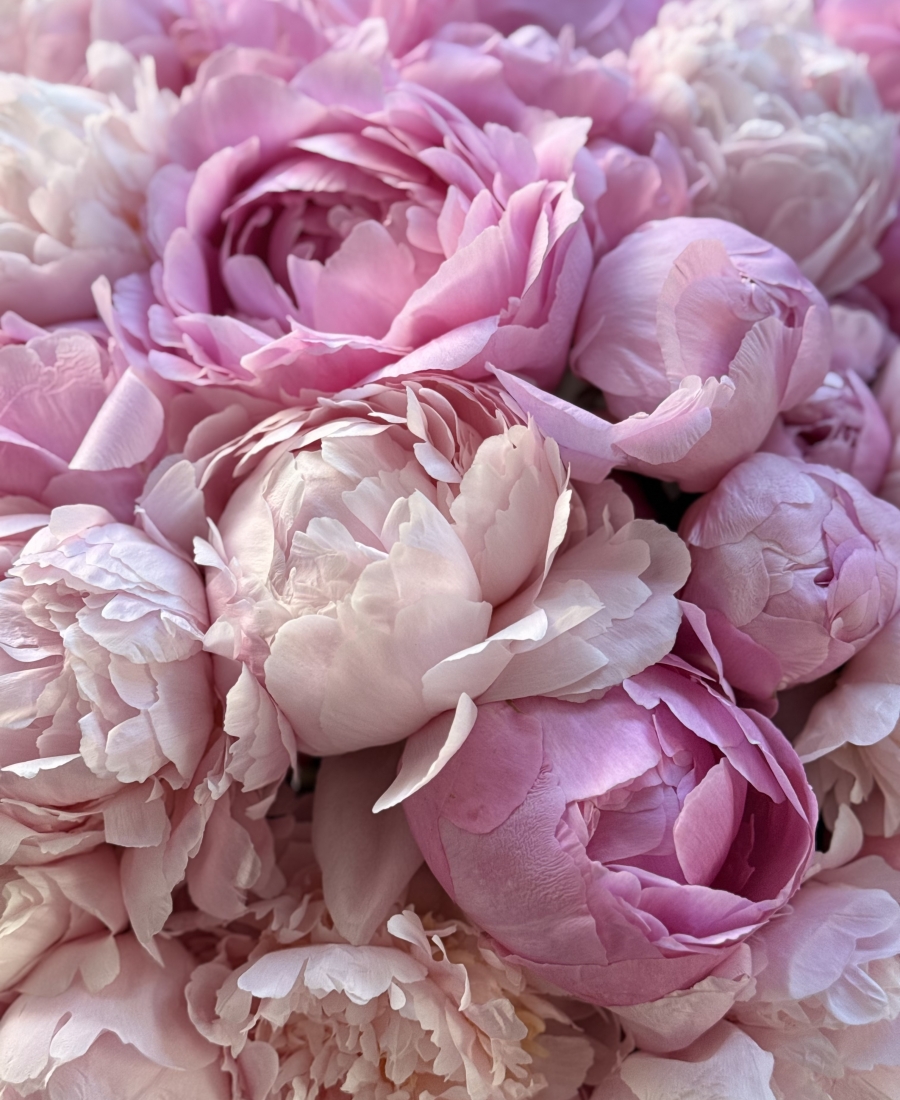 WOW peony duo bouquet
