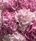 Mono bouquet “Barbie”
