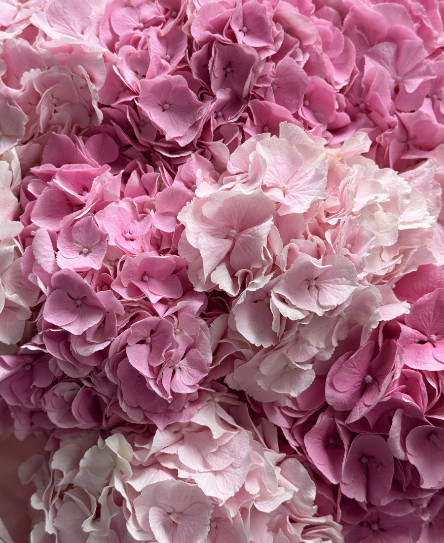 Mono bouquet “Barbie”