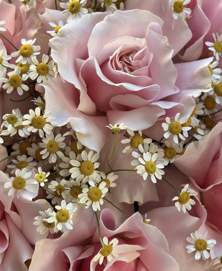 Pušķis “The Softest Pink”