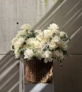 WOW-корзина «White Roses»