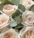 Букет роз «Classic DUO — White O’Hara with Eucalyptus»